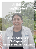 Cargar imagen en el visor de la galería, Angélica Pérez - Lavado
