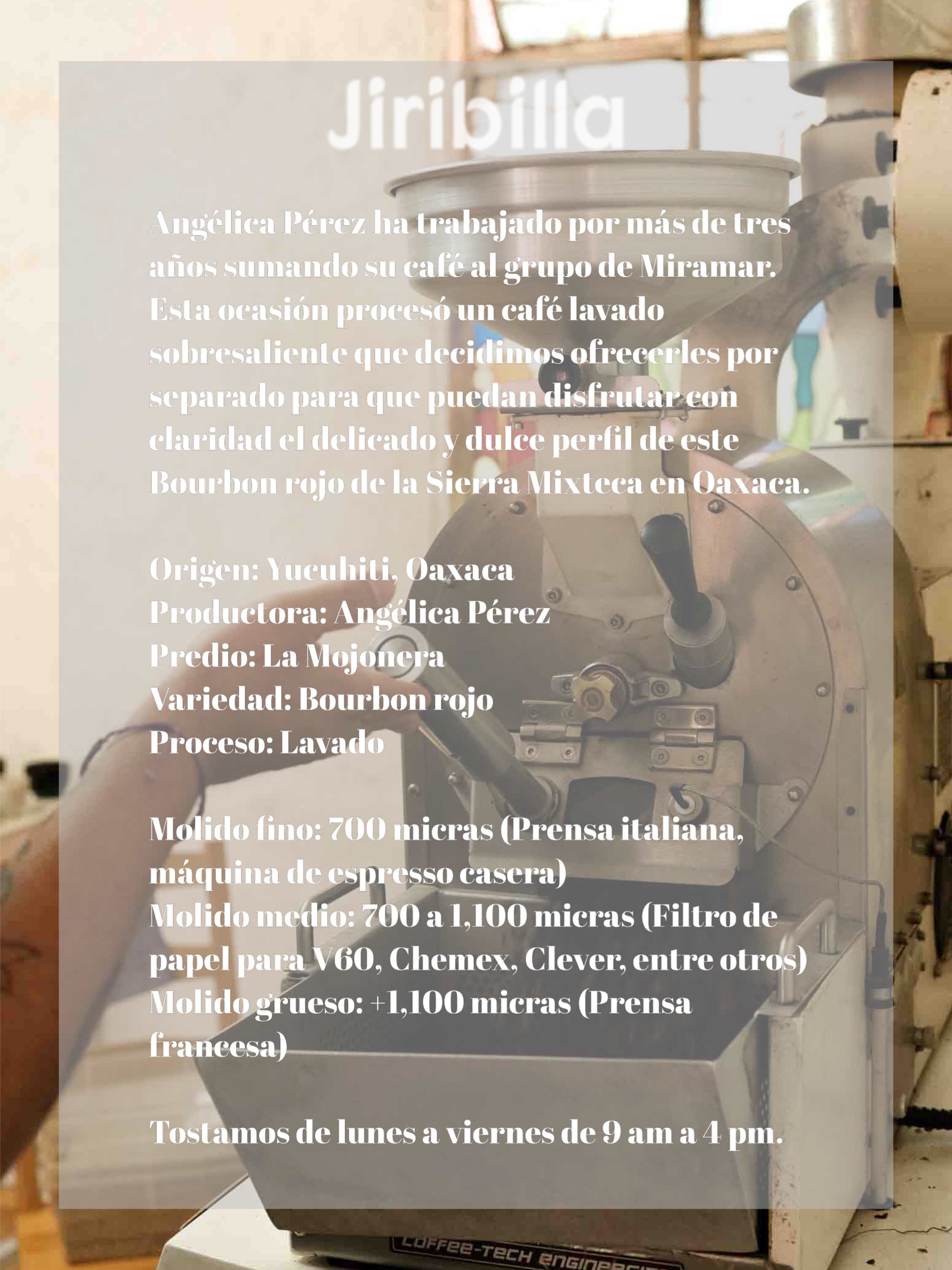 Angélica Pérez - Lavado